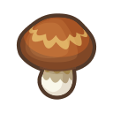 Осенние рецепты