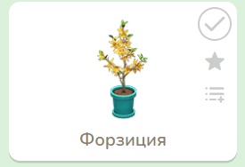 Сезонные товары в каталоге Нука