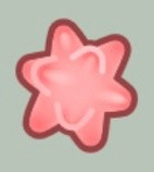 Фрагмент Рака