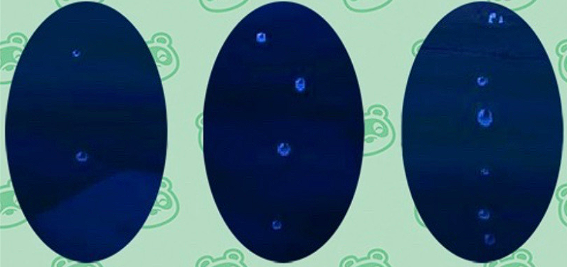 Определение размера существа по пузырям