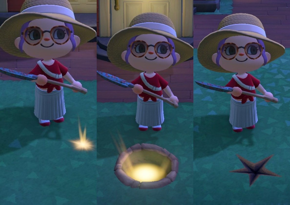 Денежное дерево