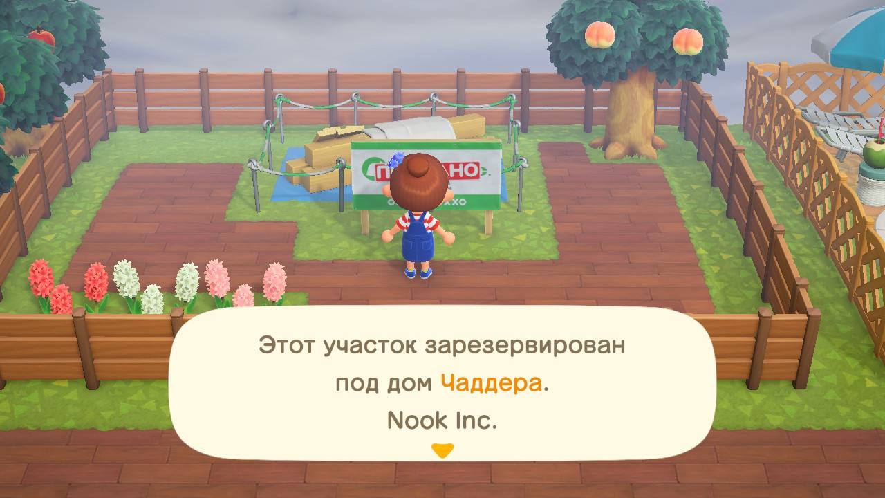 Пример занятого участка