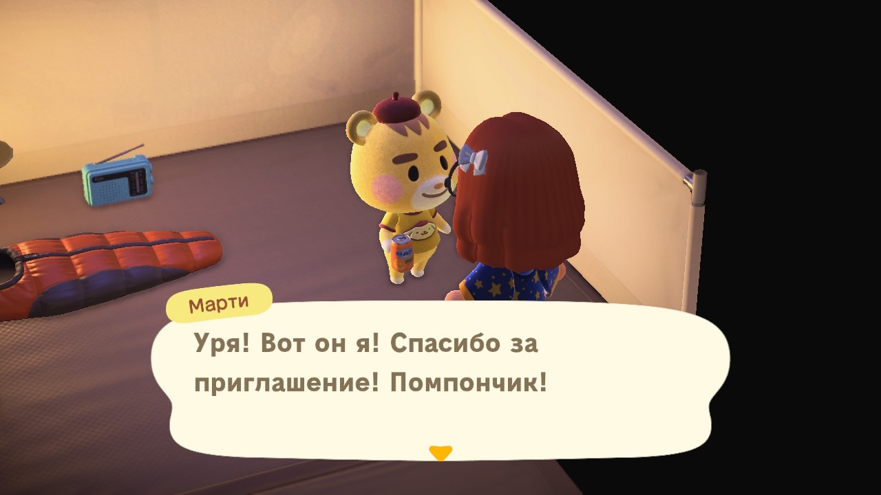 Приглашение в кемпинг 1