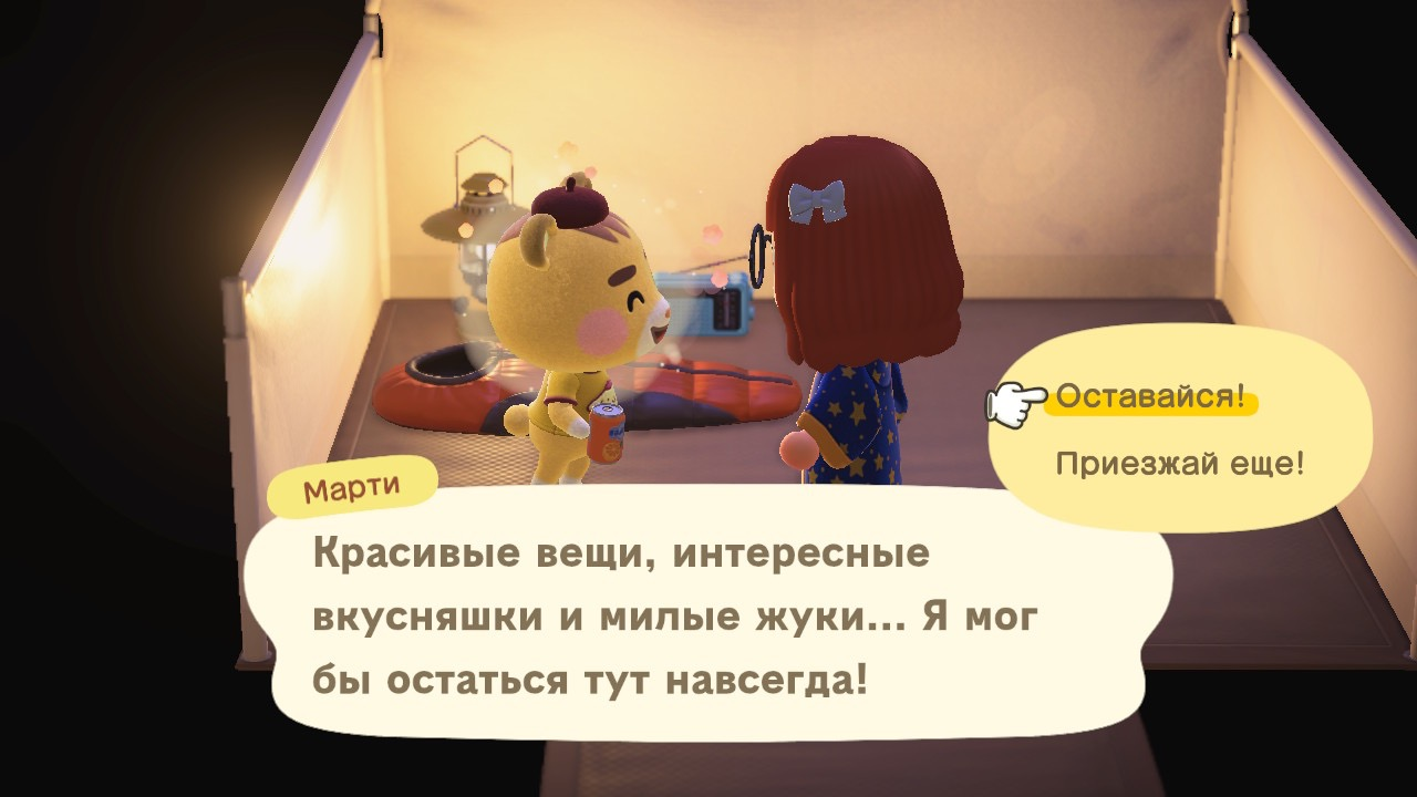 Приглашение в кемпинг 2