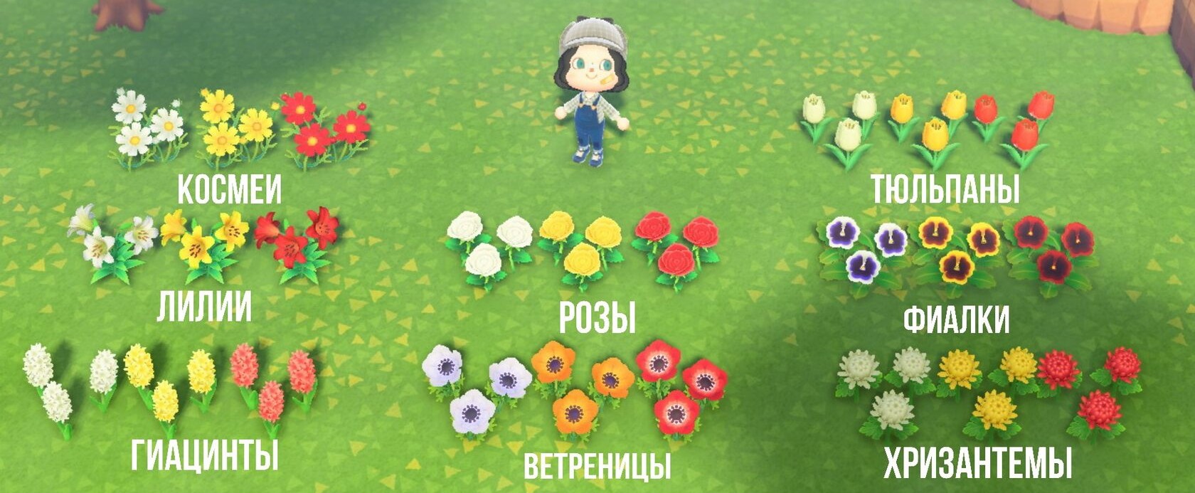 Механика роста цветов