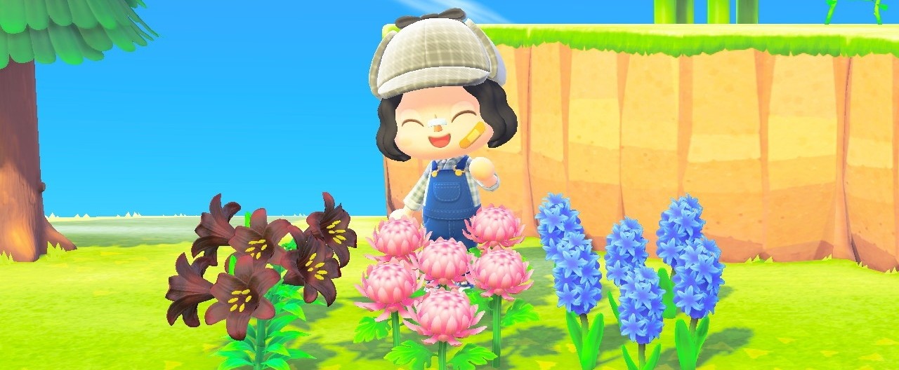 Гибриды цветов