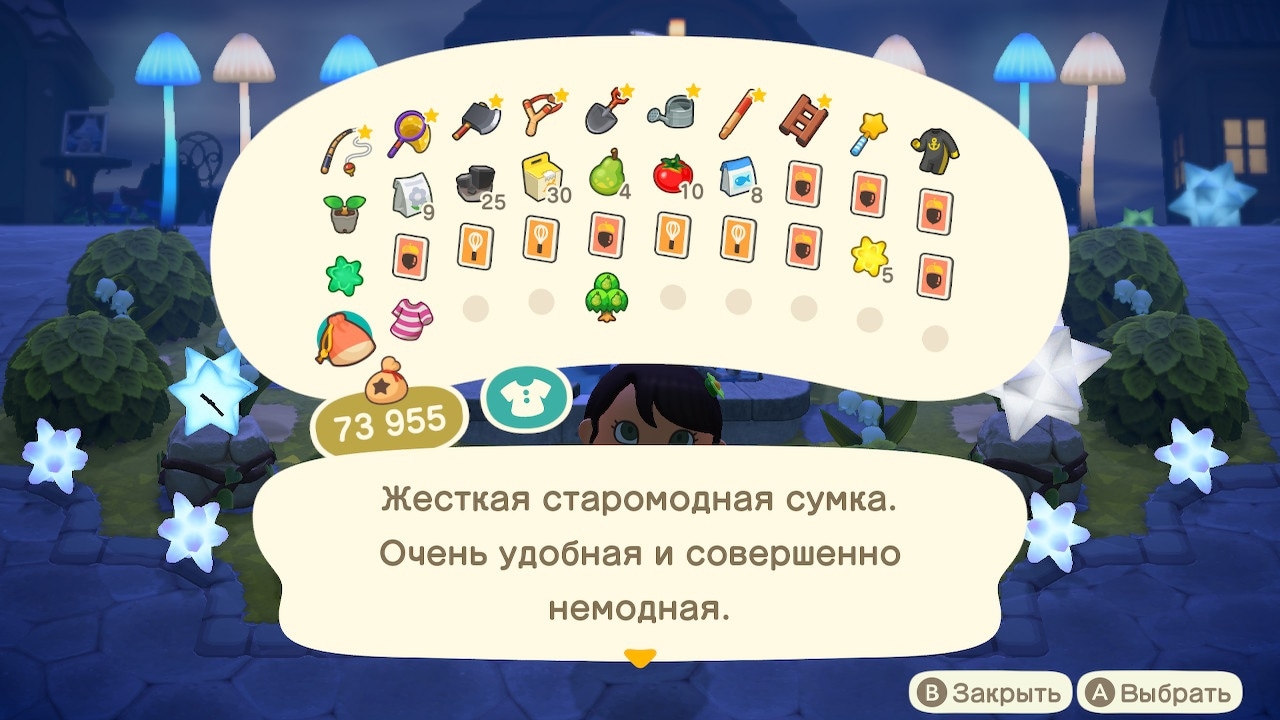 Описание сумки капризного жителя