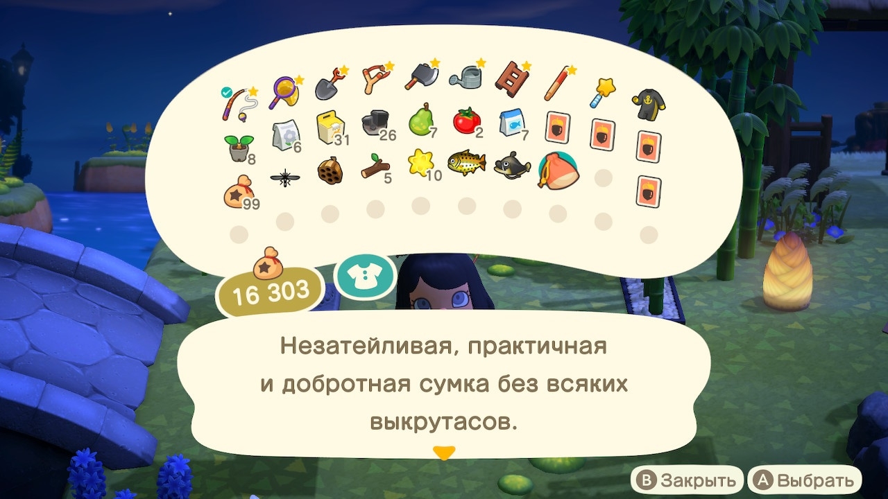 Описание сумки капризного жителя (вариант 2)