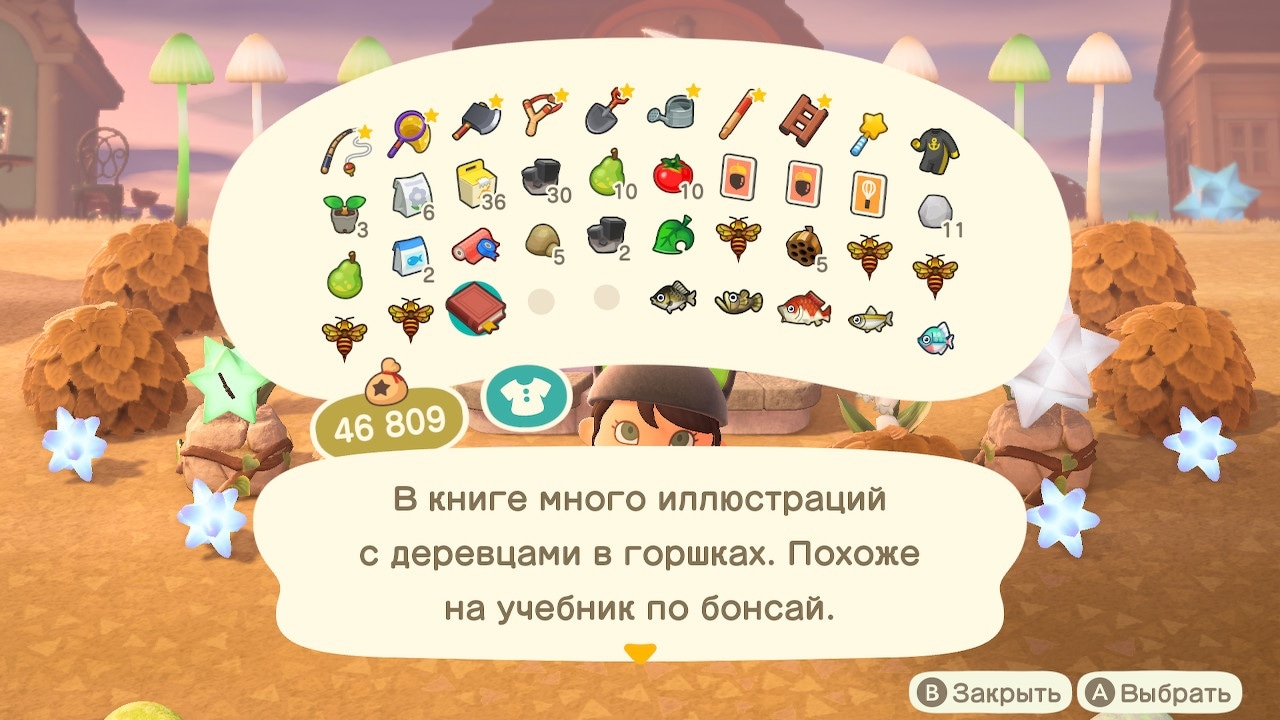 Описание книги капризного жителя