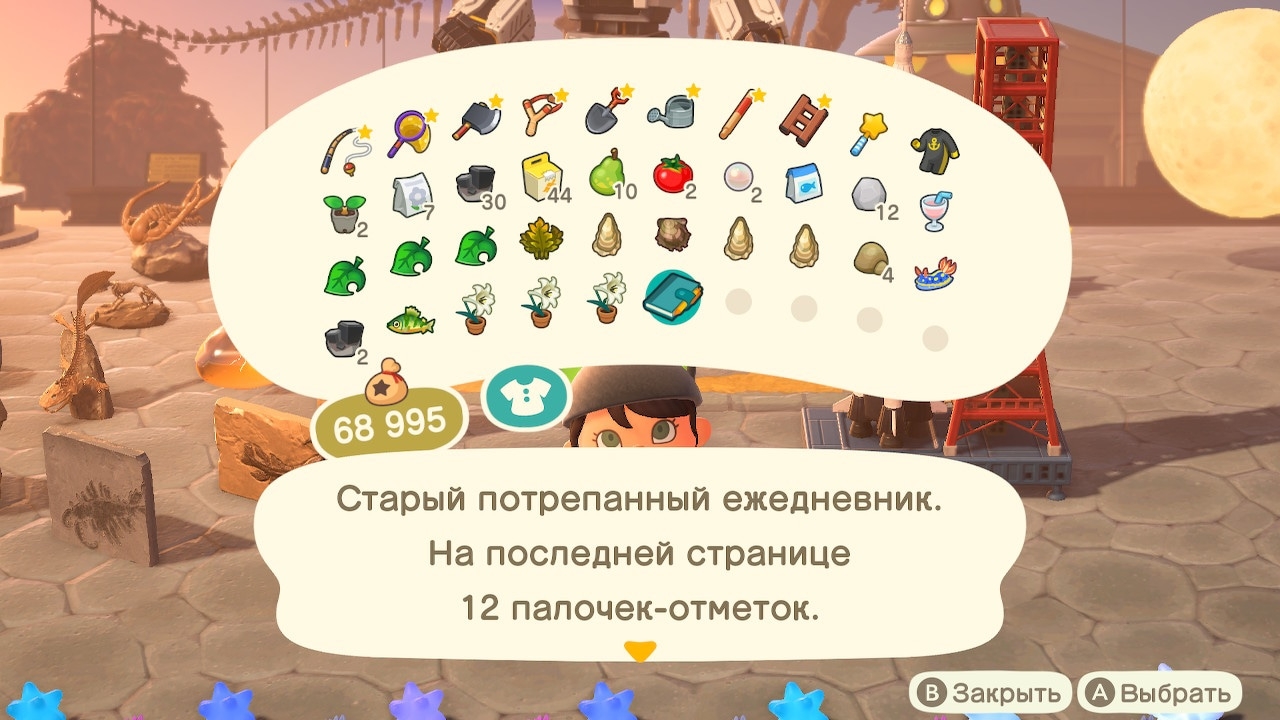 Описание книги капризного жителя (вариант 2)