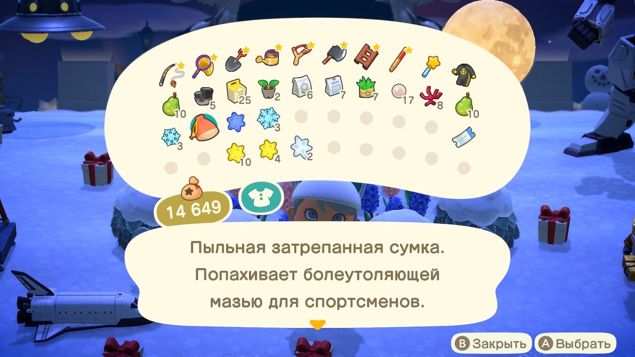 Описание сумки спортивного жителя