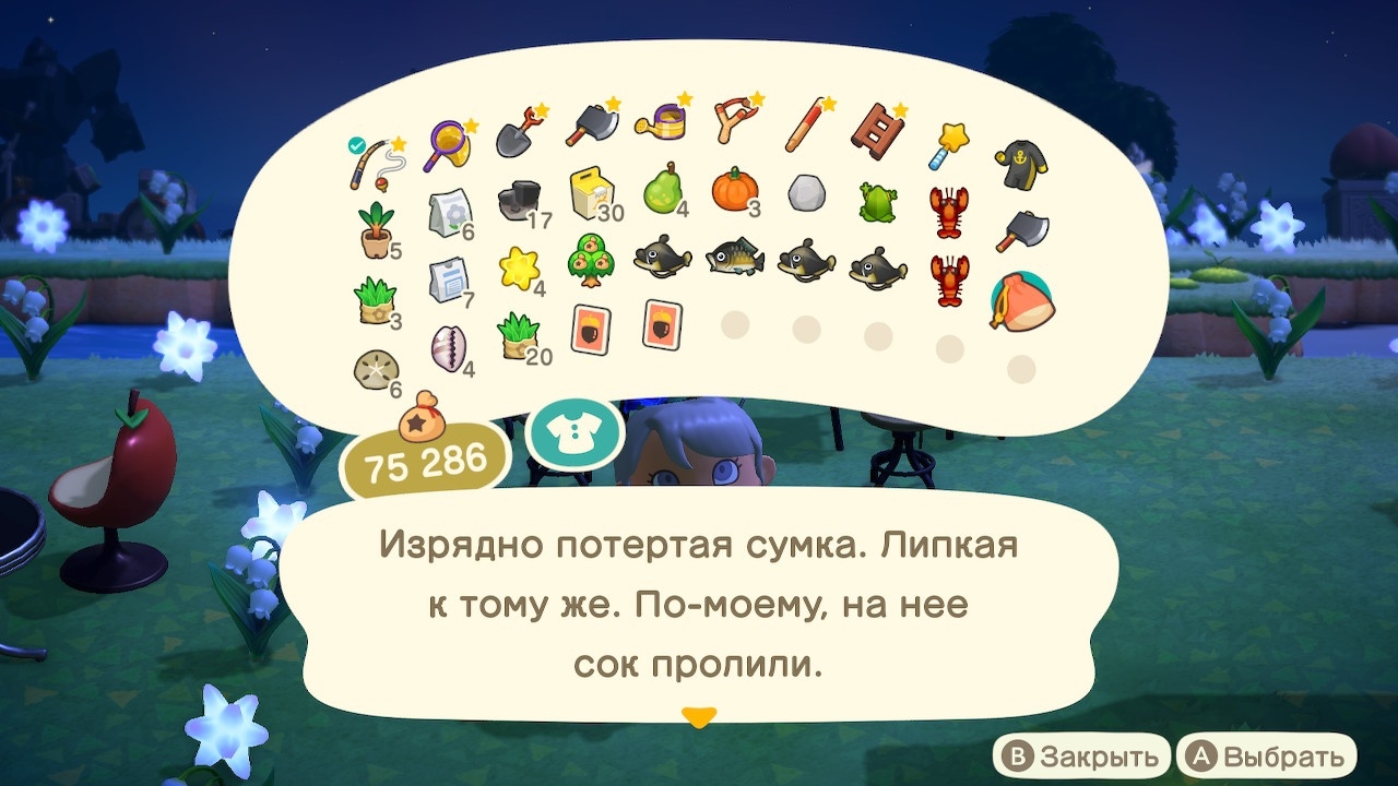 Описание сумки ленивого жителя