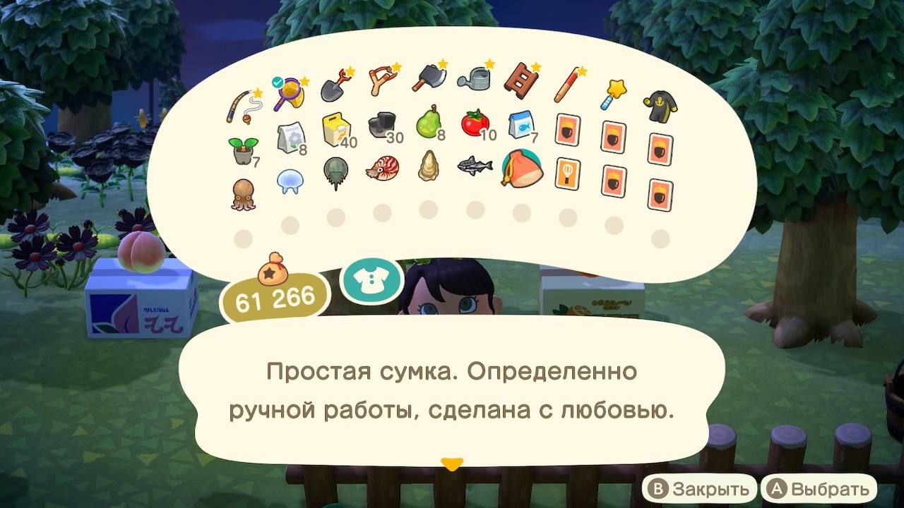 Описание сумки обычного жителя (вариант 2)