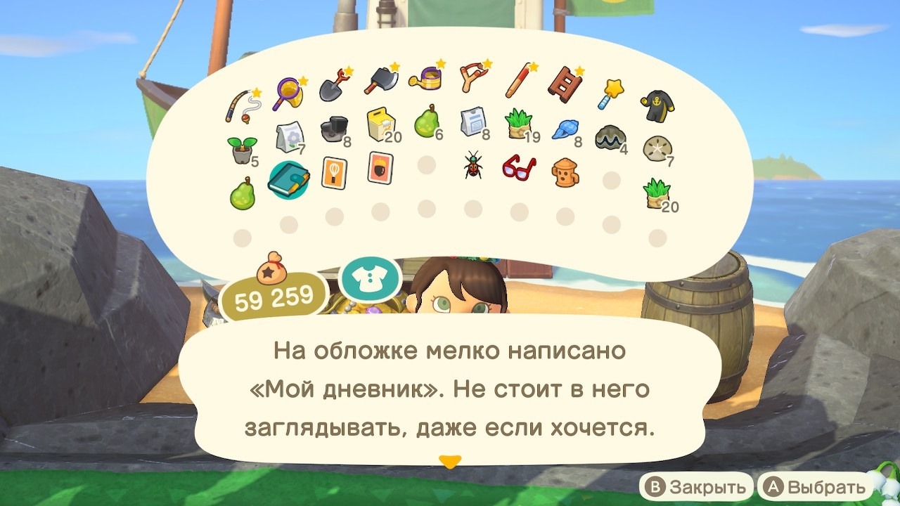 Описание книги обычного жителя (вариант 2)