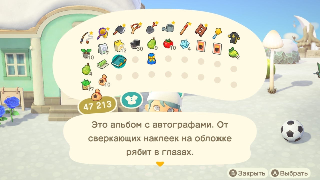 Описание книги бодрого жителя (вариант 2)