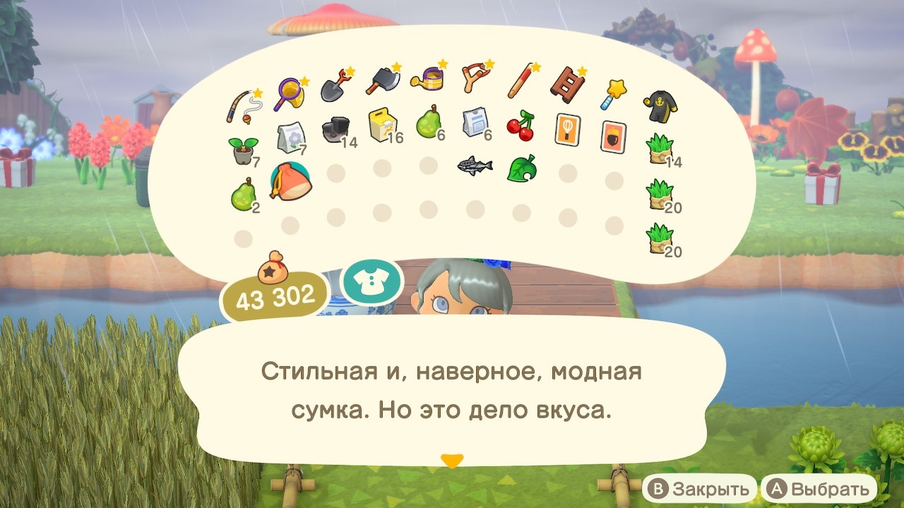 Описание сумки самодовольного жителя (вариант 2)