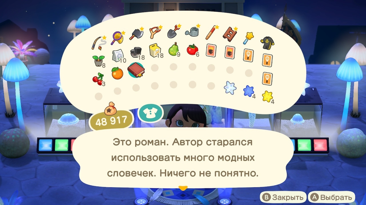 Описание книги самодовольного жителя (вариант 2)