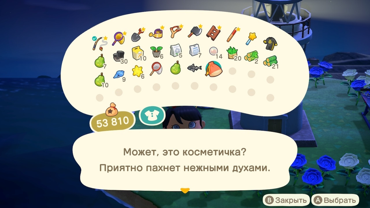 Описание сумки высокомерного жителя