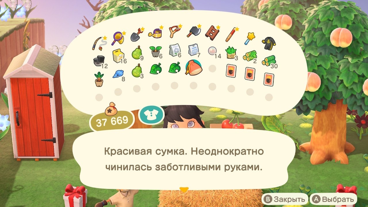 Описание сумки высокомерного жителя (вариант 2)