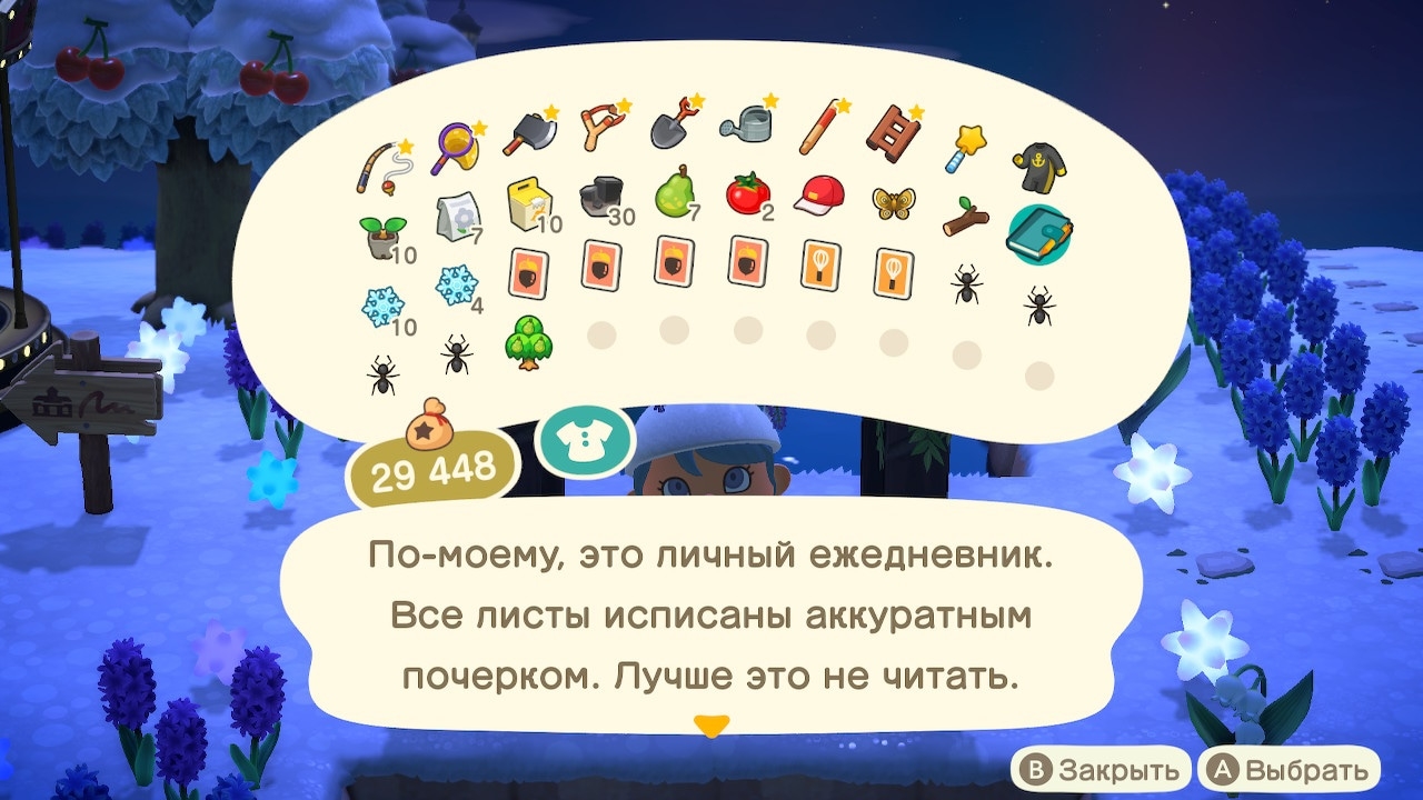 Описание книги высокомерного жителя (вариант 2)