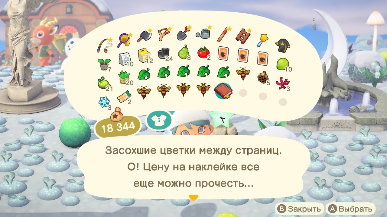 Описание книги заботливого жителя (вариант 2)