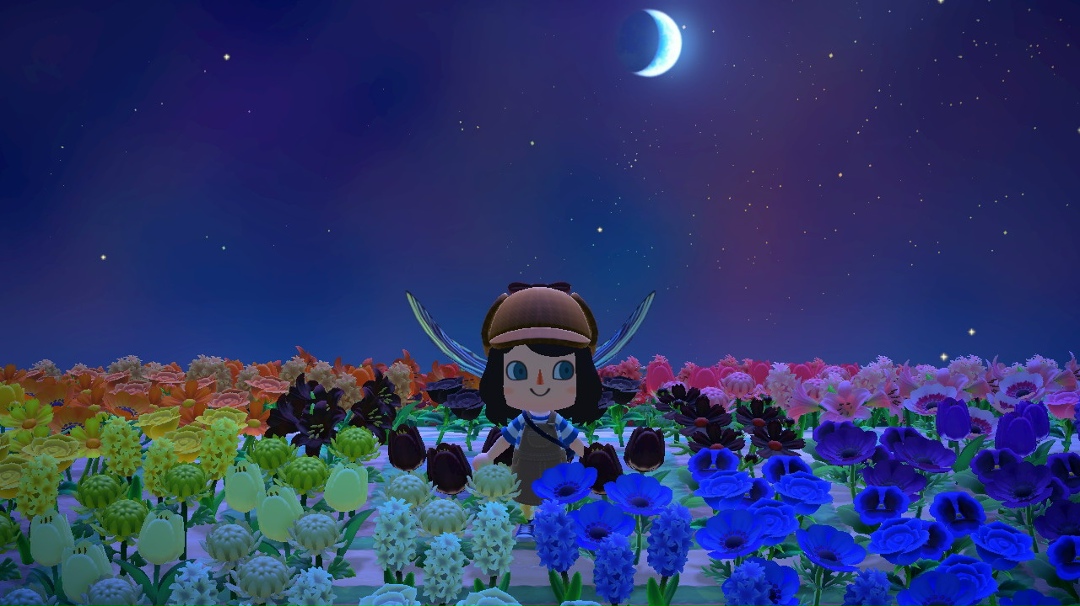 Предсказания