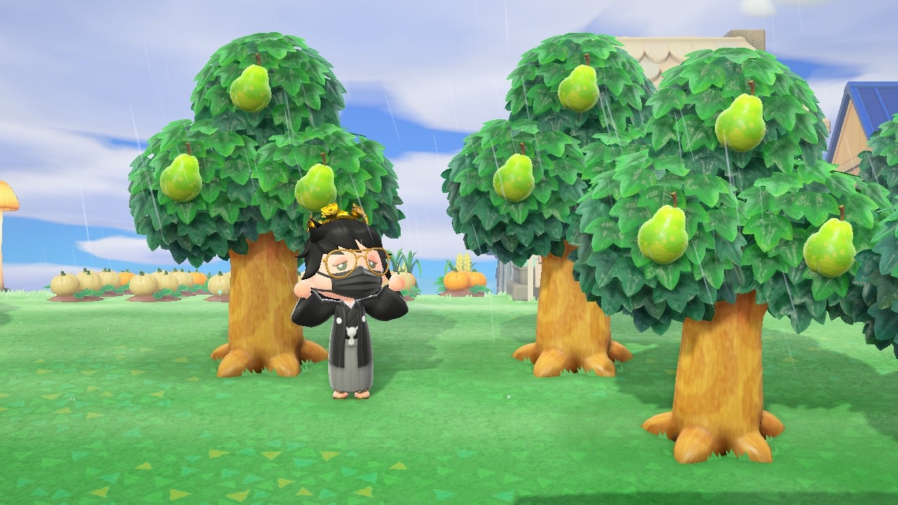 Фруктовые деревья