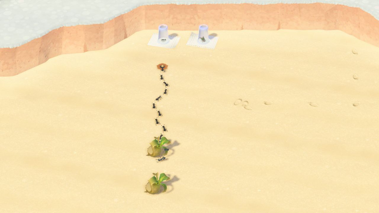 Гнилая репа