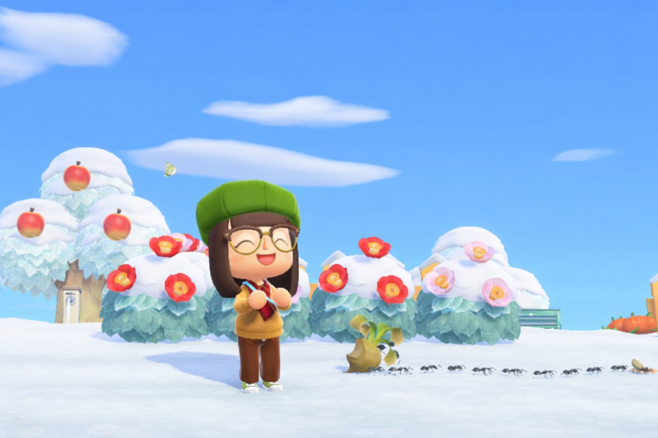 Гнилая репа